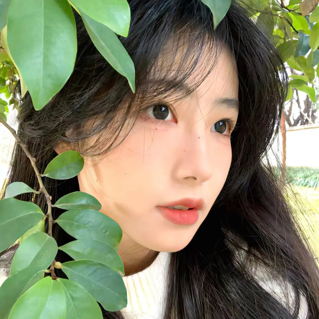 明星大侦探第二季